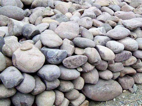 河卵石 河卵石