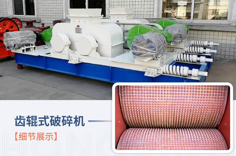 齒輥式破碎機細節(jié)展示 齒輥式破碎機細節(jié)展示